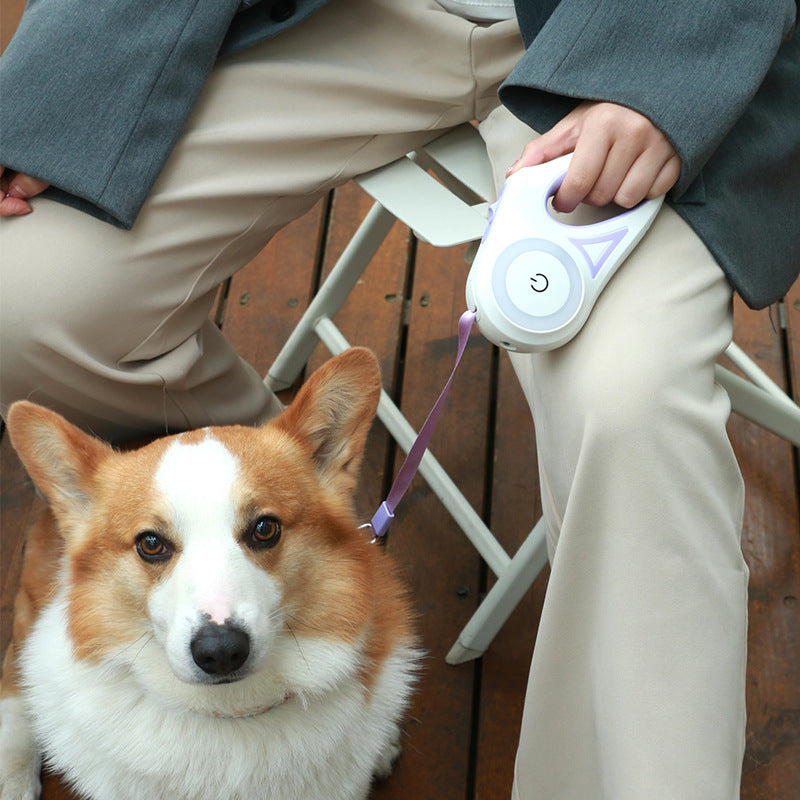 Retractable Dog Leash with Automatic Lock - For Small and Medium Pets