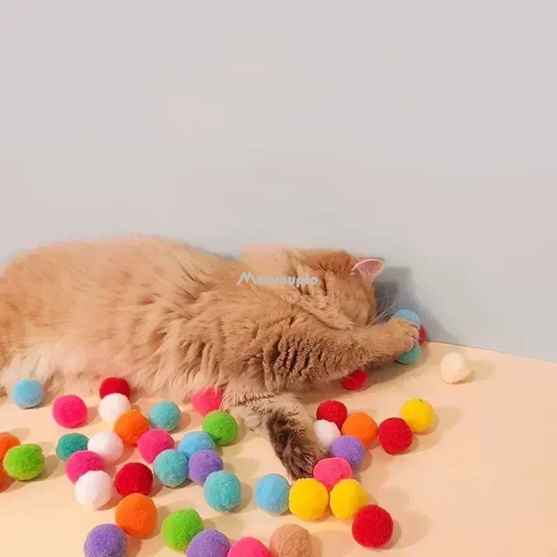 Cat Pompom Launcher