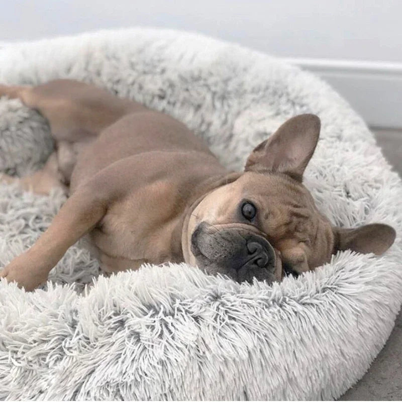 Cozy Pet Donut Bed - Soft, Warm & Easy to Clean - Perfect for Dogs & Cats